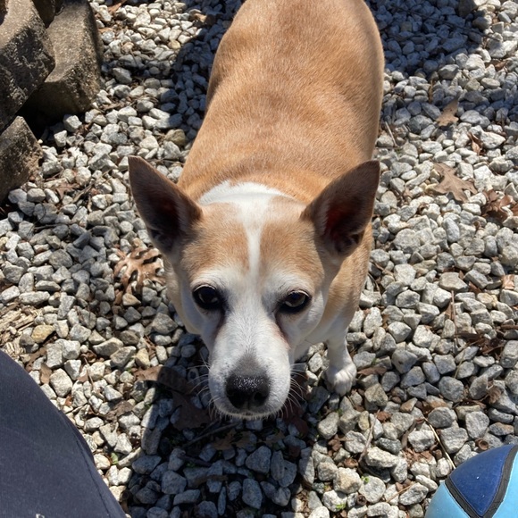 Meet your Posher, Nikki - Picture 5 of 6